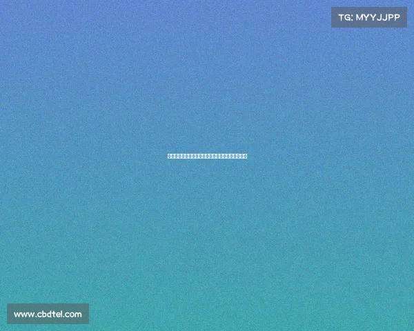 滕嗨引援亏损分析:从投入到回报的真实对比与反思